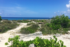 Grand Cayman